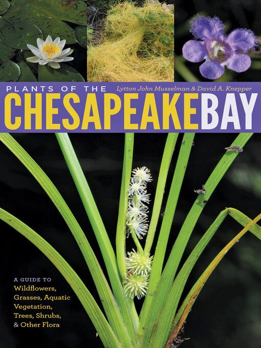 Cover image for Plants of the Chesapeake Bay